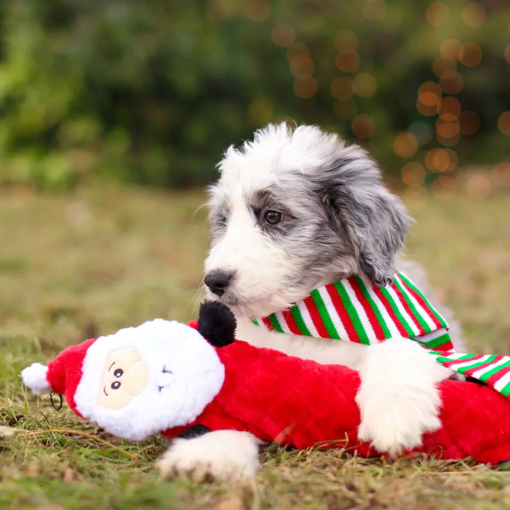 Holiday Jigglerz® Santa Plush