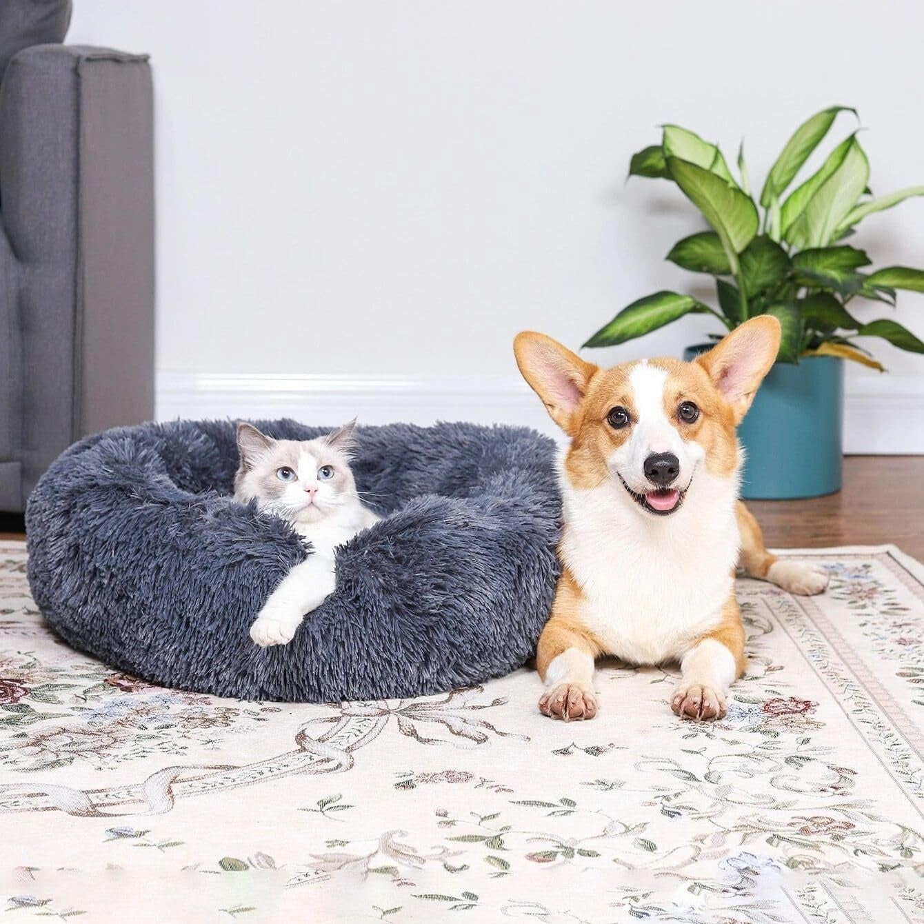 Marshmallow Pets Bed
