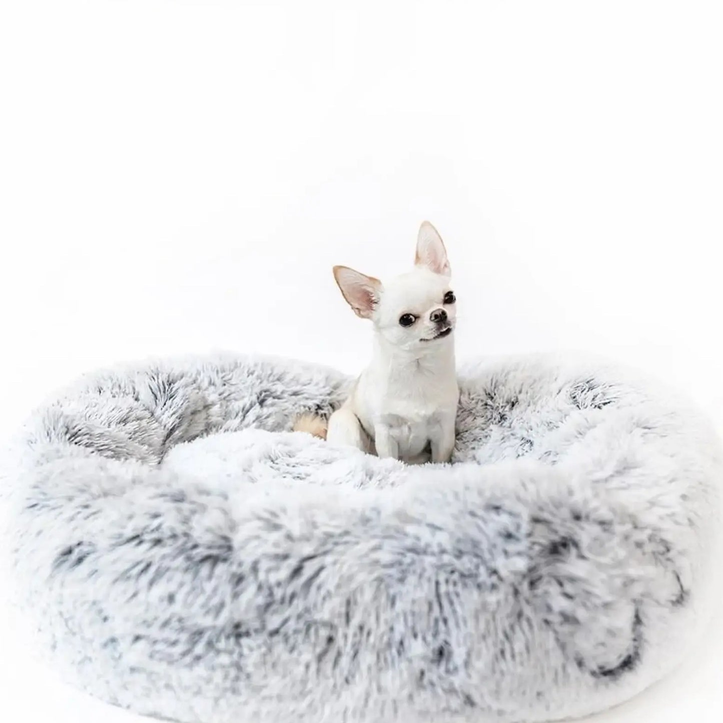 Cat & Dog OrthoPlush Bed