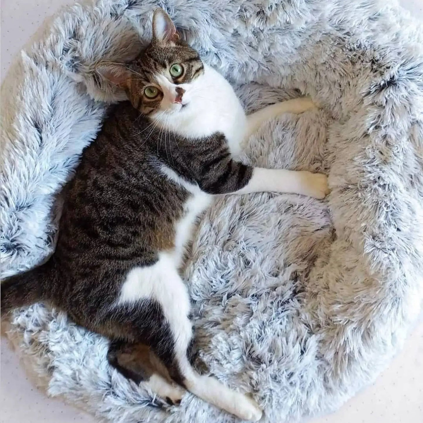 Cat & Dog OrthoPlush Bed