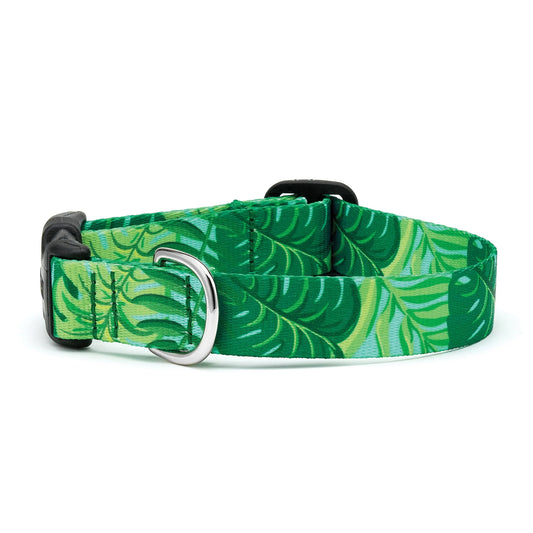 Palms Dog Collar