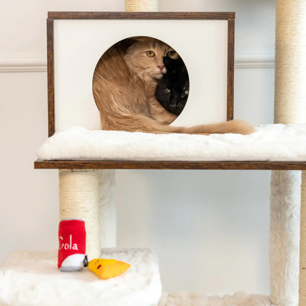 NomNomz® - Pizza and Cola Plushies