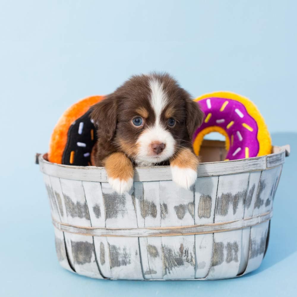 Donutz - Pumpkin Spice Plush