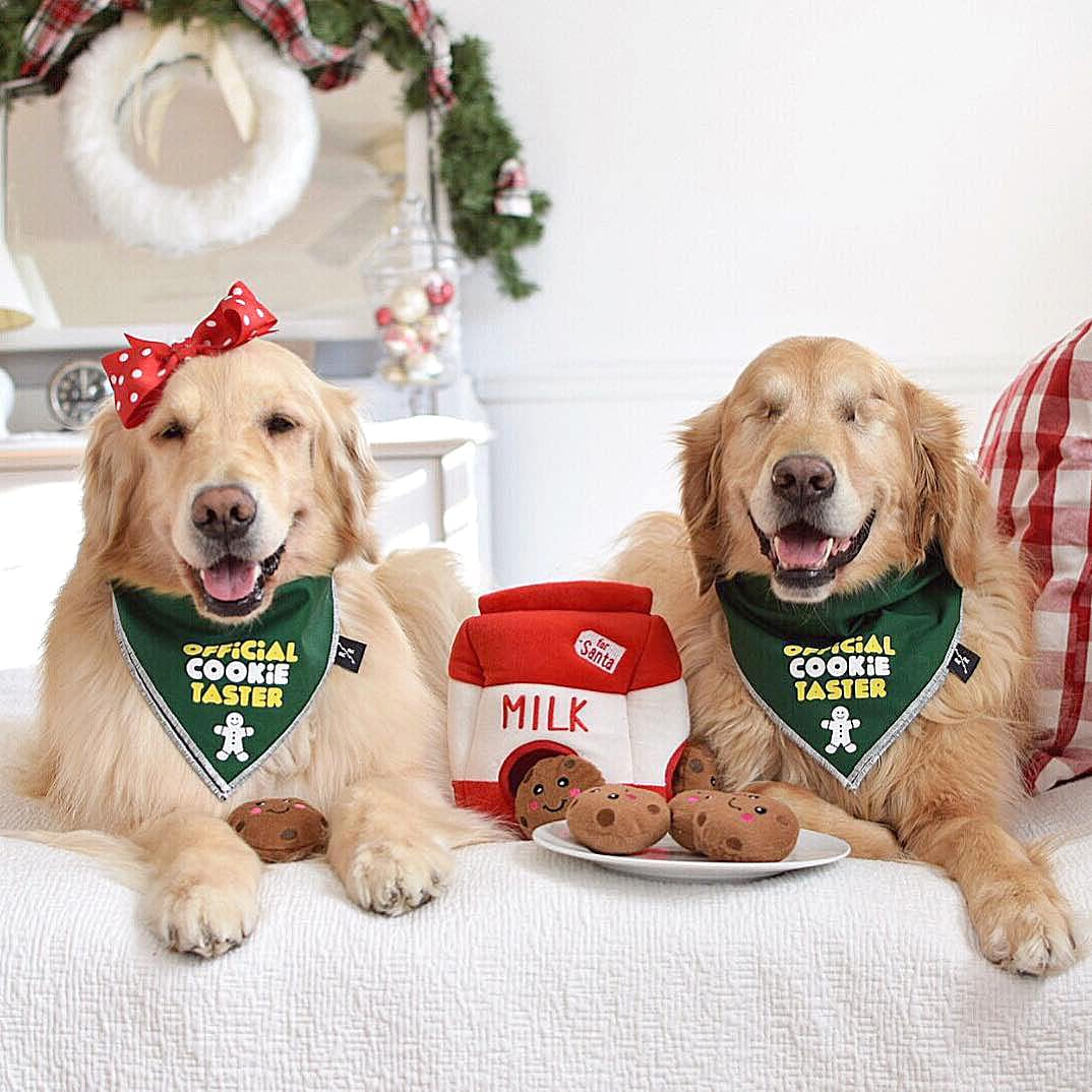 Holiday Burrow® Santa's Milk and Cookies Plush
