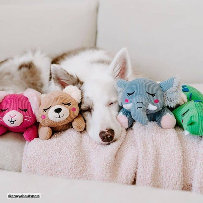 Snooziez with Shhhqueaker - Bear Plush
