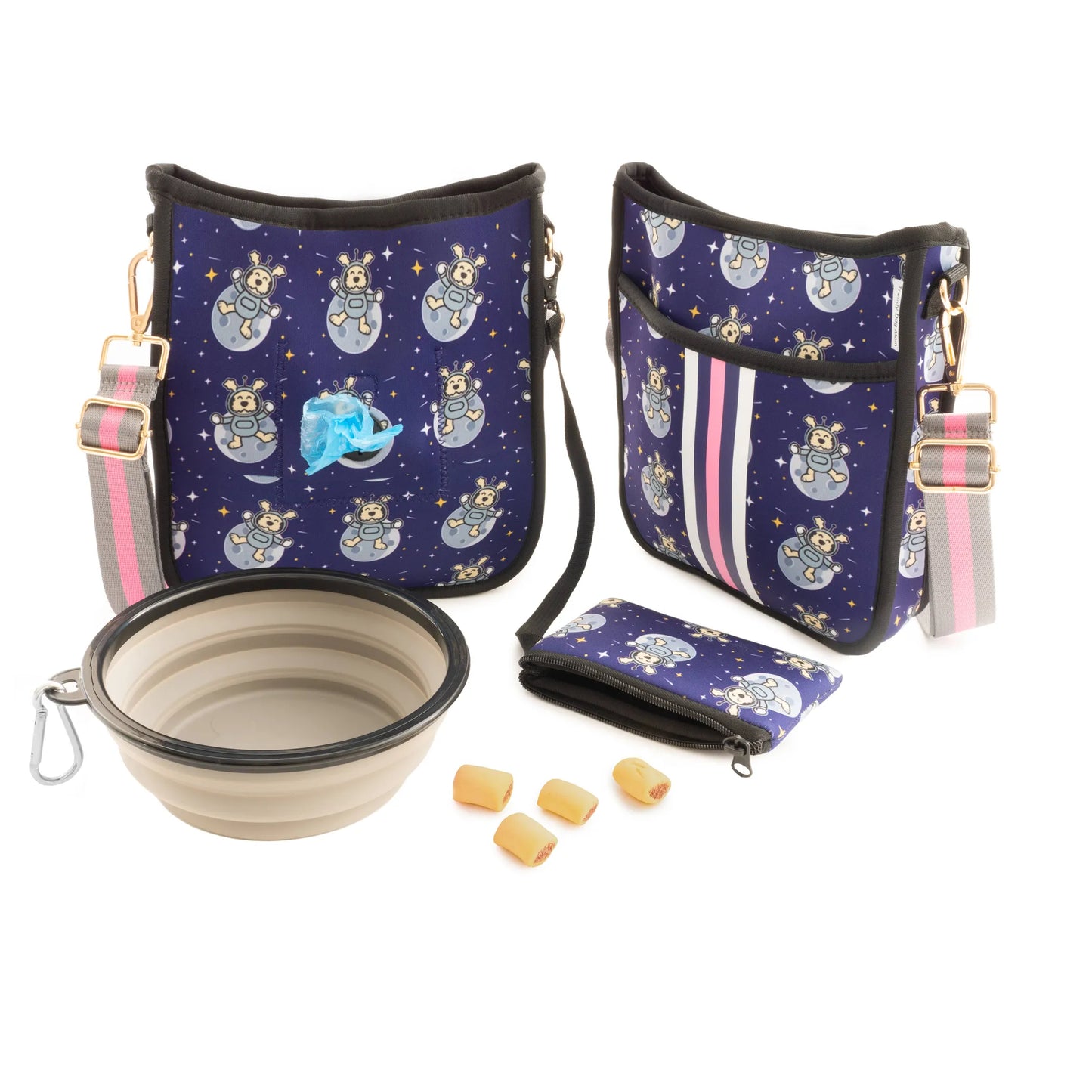 "Space Dog"  Dog Walking Bag
