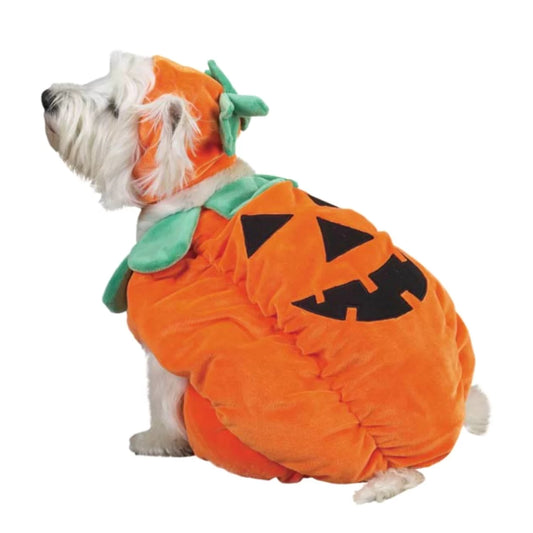 Pumpkin Pooch Costume